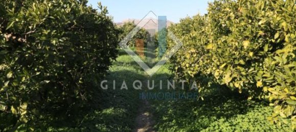 20032m² Land in Mineo, Italy No. 230836 9