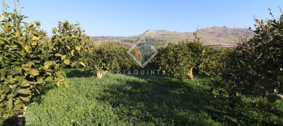 20032m² Land in Mineo, Italy No. 230836 8