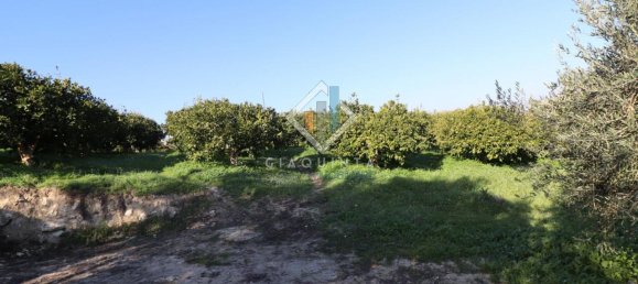20032m² Land in Mineo, Italy No. 230836 22