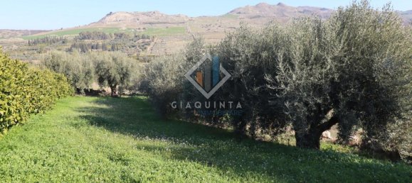 20032m² Land in Mineo, Italy No. 230836 14