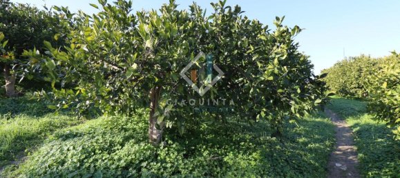 20032m² Land in Mineo, Italy No. 230836 2