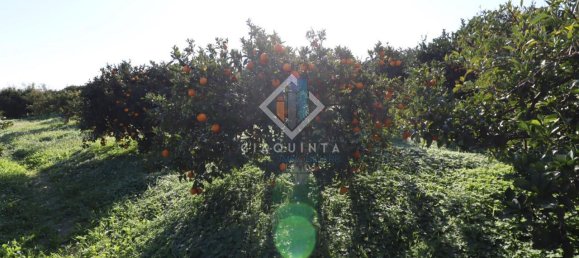 20032m² Land in Mineo, Italy No. 230836 18