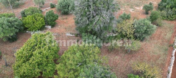 1 Schlafzimmer Haus in Monopoli, Italy, Nr. 112590 8