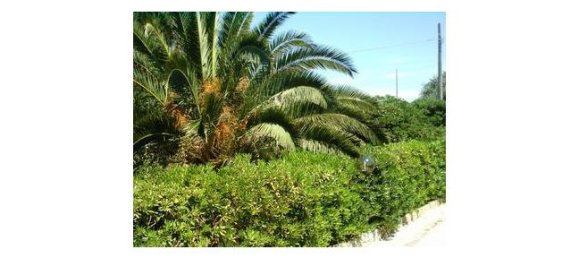 4 bedrooms House in Sorso, Italy No. 257182 3