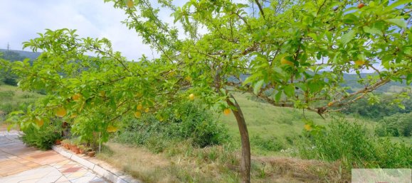 4 bedrooms Warehouse in Mioglia, Italy No. 297976 9