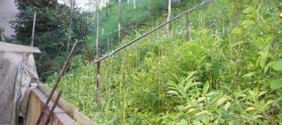 4-Zimmer Wohnung in Montecreto, Italy, Nr. 177405 8