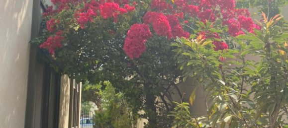 Villa de 5 dormitorios en Jumeirah Park, UAE No. 1631 8