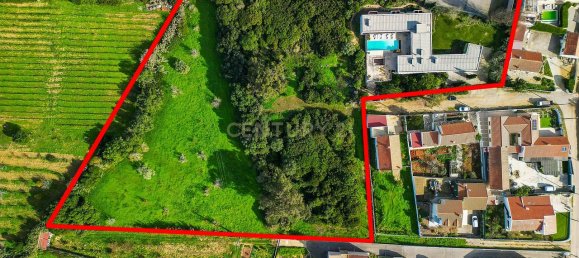 6 bedrooms House in Sesimbra, Portugal No. 127348 3