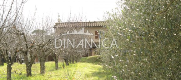 7 rooms House in Terricciola, Italy No. 235980 12