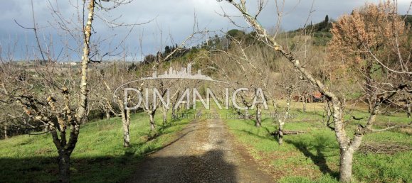 7 rooms House in Terricciola, Italy No. 235980 9