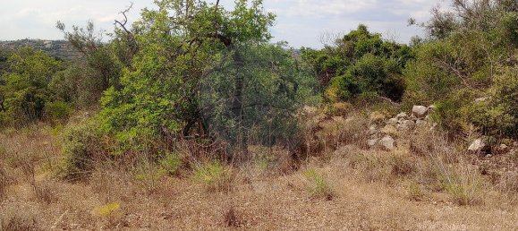 1 bedroom House in Faro, Portugal No. 29103 13