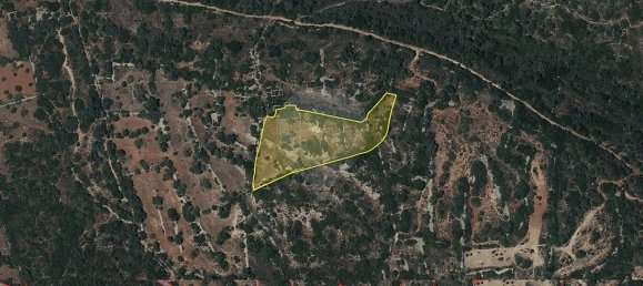 1 bedroom House in Faro, Portugal No. 29103 4