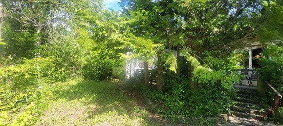 3 rooms Bungalow in Winzendorf-Muthmannsdorf, Austria No. 248225 3