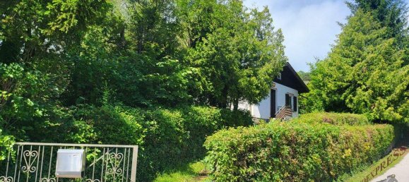 3 rooms Bungalow in Winzendorf-Muthmannsdorf, Austria No. 248225 22
