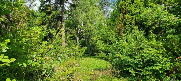 3 rooms Bungalow in Winzendorf-Muthmannsdorf, Austria No. 248225 15