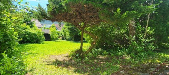 3 rooms Bungalow in Winzendorf-Muthmannsdorf, Austria No. 248225 20