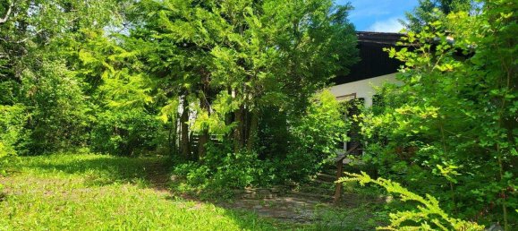 3 rooms Bungalow in Winzendorf-Muthmannsdorf, Austria No. 248225 14