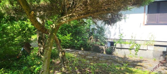 3 rooms Bungalow in Winzendorf-Muthmannsdorf, Austria No. 248225 17