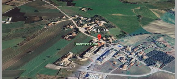 7 Schlafzimmer Wohnung in Montefalco, Italy, Nr. 312136 19