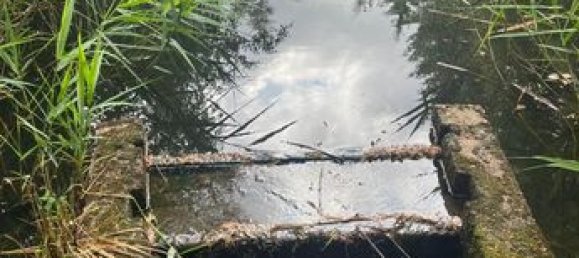 Terreno en Vouzon, France 25837 m² No. 303379 4