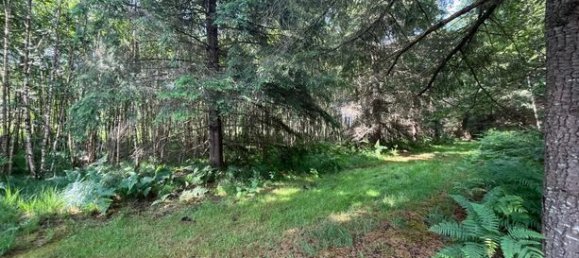 Terreno en Vouzon, France 25837 m² No. 303379 2