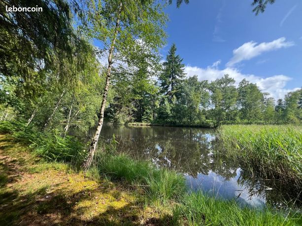 Terreno en Vouzon, France 25837 m² No. 303379