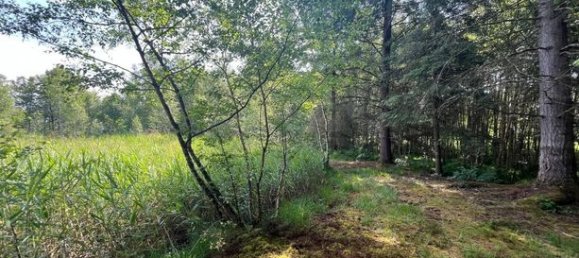 Terreno en Vouzon, France 25837 m² No. 303379 3