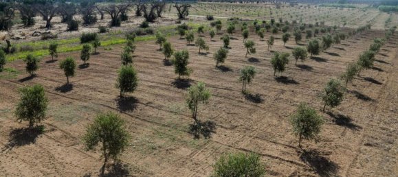 13 bedrooms House in Lecce, Italy No. 374950 26