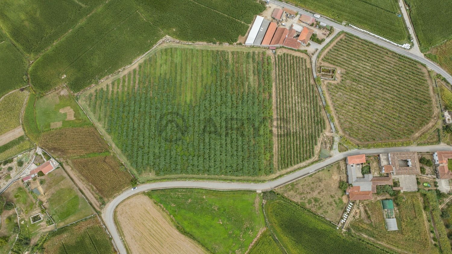 Terreno en Barcelos, Portugal 33800 m² No. 315680