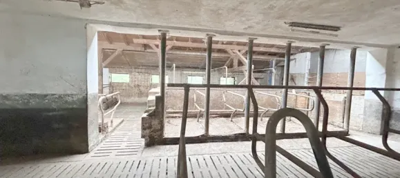 3 Schlafzimmer Bauernhof in Rosenheim, Germany, Nr. 142230 42