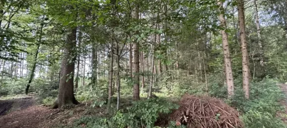 3 Schlafzimmer Bauernhof in Rosenheim, Germany, Nr. 142230 50