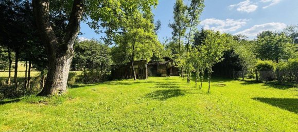 12 rooms House in Thalheim bei Wels, Austria No. 164537 17