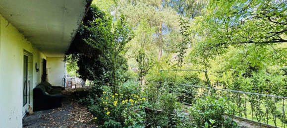 12 rooms House in Thalheim bei Wels, Austria No. 164537 7