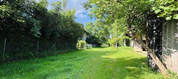 12 rooms House in Thalheim bei Wels, Austria No. 164537 18