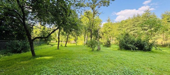 12 rooms House in Thalheim bei Wels, Austria No. 164537 5