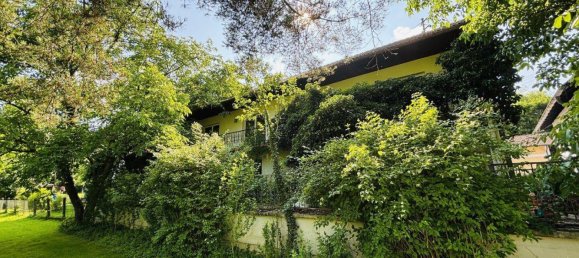 12 rooms House in Thalheim bei Wels, Austria No. 164537 4