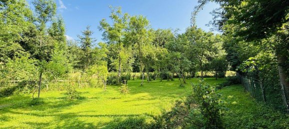 12 rooms House in Thalheim bei Wels, Austria No. 164537 19