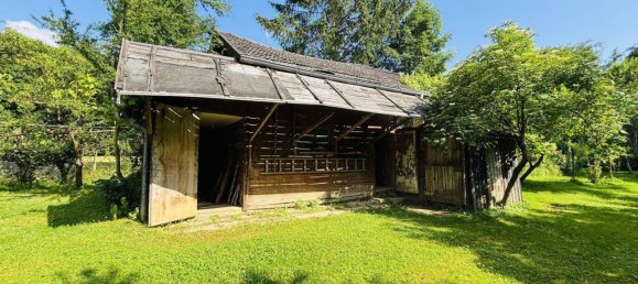 12 rooms House in Thalheim bei Wels, Austria No. 164537 6