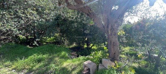 4-Zimmer Haus in Modica, Italy, Nr. 232276 11