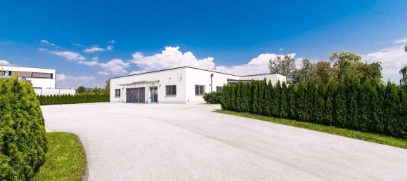 11غرفة عقار تجاري في Eberndorf, Austria رقم 85719 3