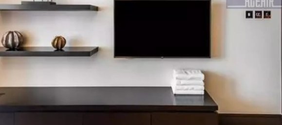 48m² Apartment in Downtown Dubai (Downtown Burj Dubai), UAE No. 966 9