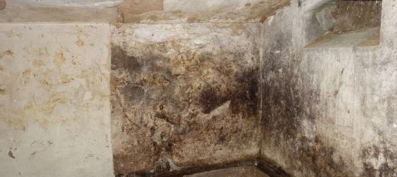 Таунхаус с 8 комнатами в Рудные Горы, Германия № 34415 12