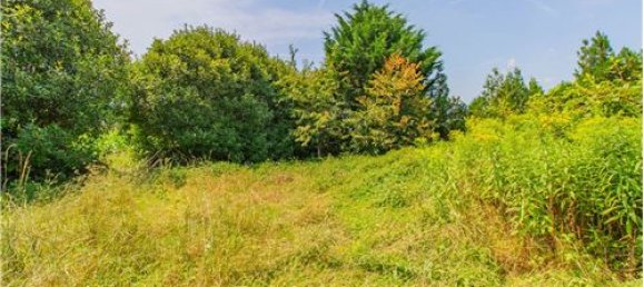 2060m² Land in Cairate, Italy No. 279193 2