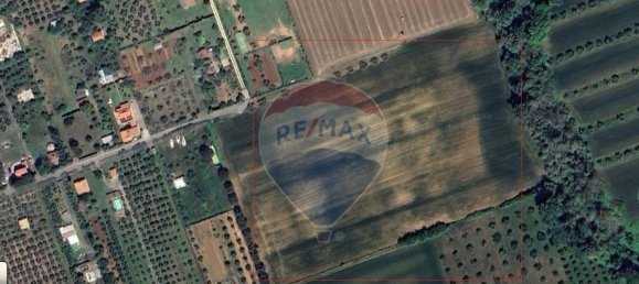 Grundstück in Rosignano Marittimo, Italy 30000m², Nr. 288567 16