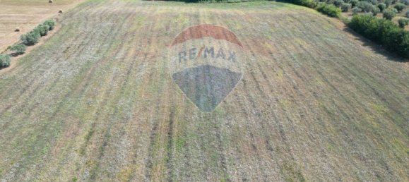 Grundstück in Rosignano Marittimo, Italy 30000m², Nr. 288567 18