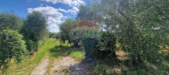 Grundstück in Rosignano Marittimo, Italy 30000m², Nr. 288567 13