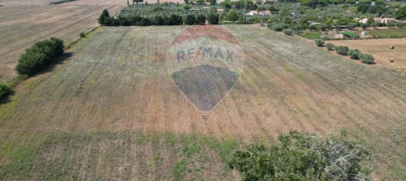 Grundstück in Rosignano Marittimo, Italy 30000m², Nr. 288567 23