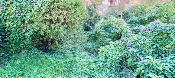 3 rooms Apartment in Palermo, Italy No. 37092 4