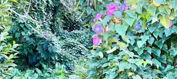 3 rooms Apartment in Palermo, Italy No. 37092 5