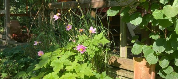 Terreno em Dahme-Spreewald, Germany N.º 283176 4